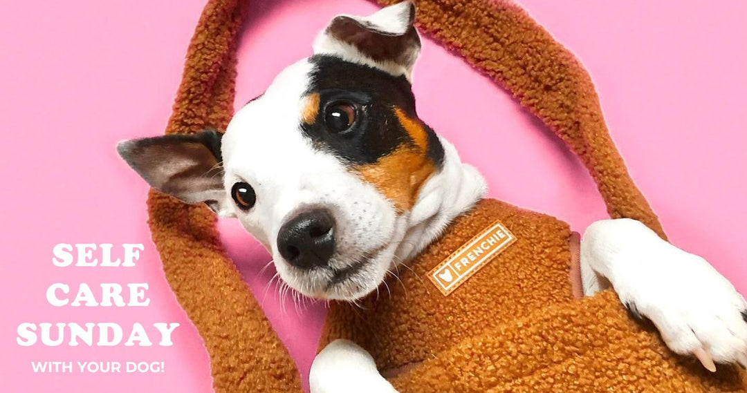 Self-care Sunday with Your Dog: A Day of Bonding and Relaxation