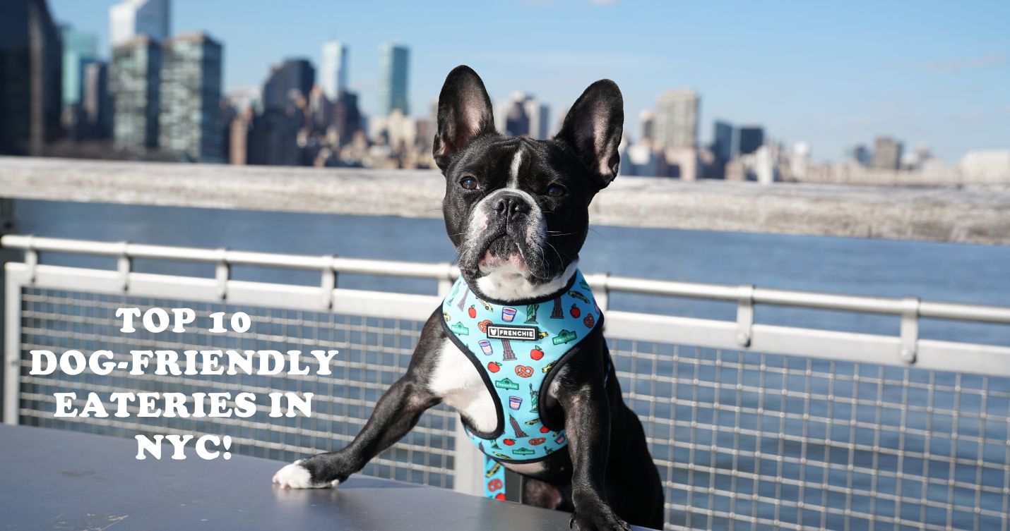 Top 10 Dog-Friendly Eateries in NYC – Frenchie Bulldog