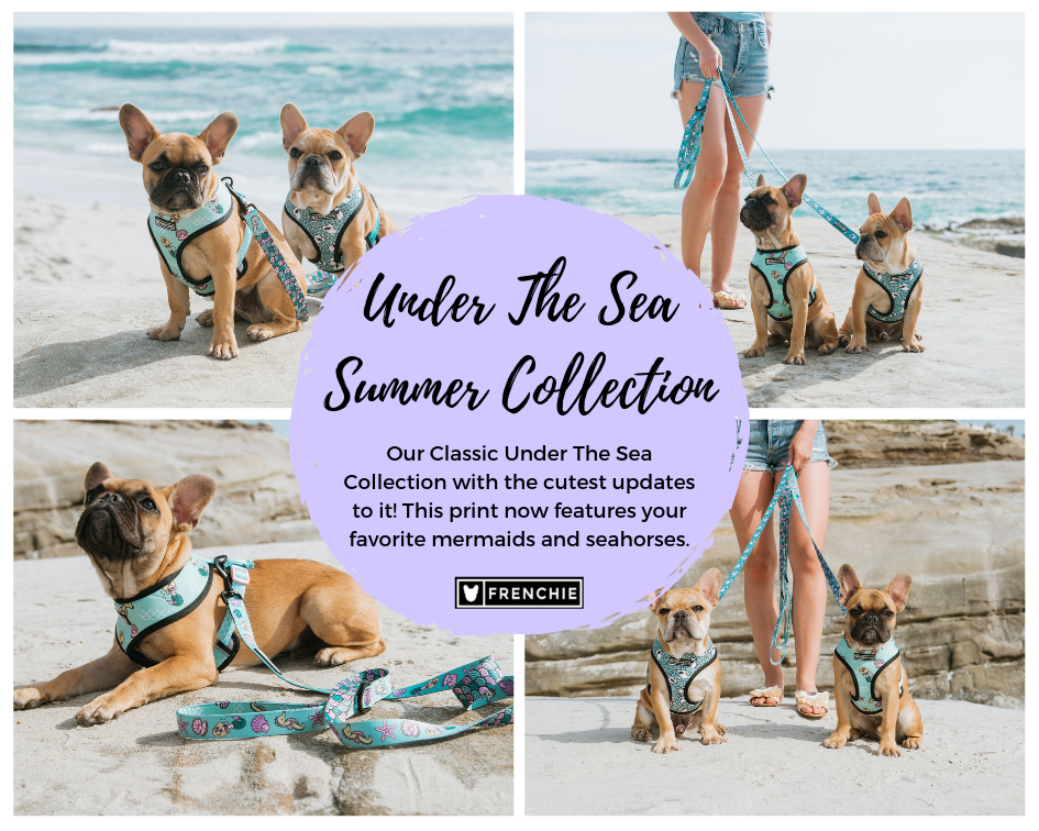 Under The Sea Collection