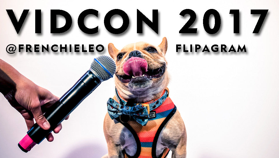 VidCon 2017