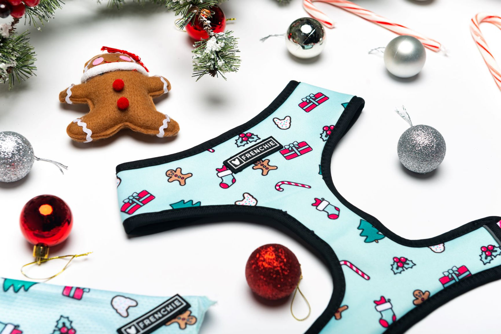 The Official Frenchie Holiday Gift Guide