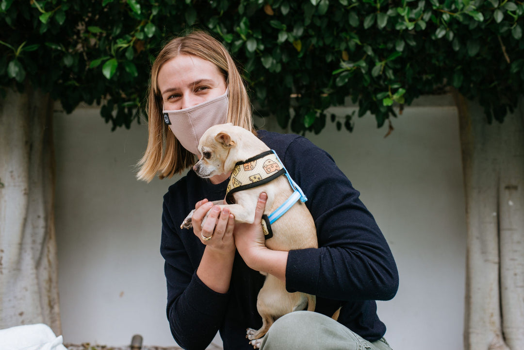The Holidays are Approaching! Do You Have Your Pet Sitter Booked?