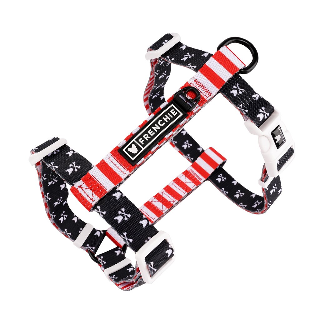 Strap Harness
