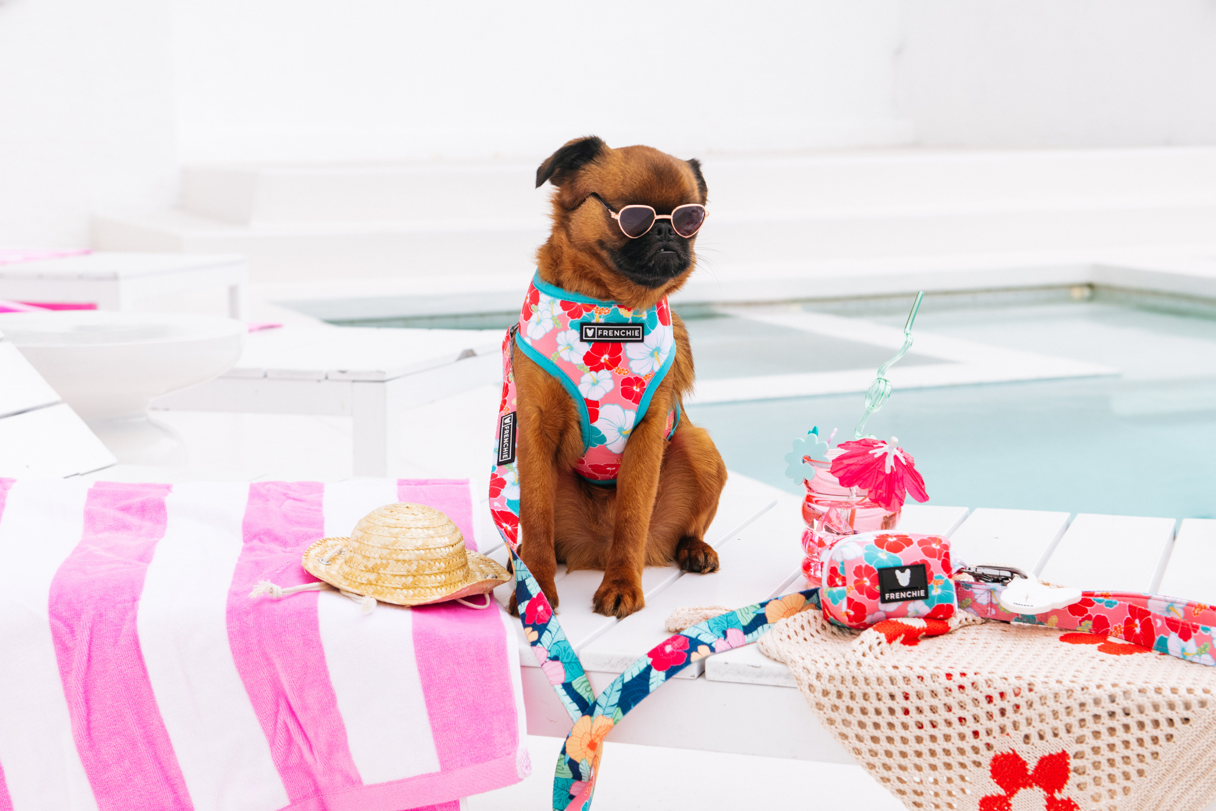 Cool Dog Accessories: Transform Your Pup's Style