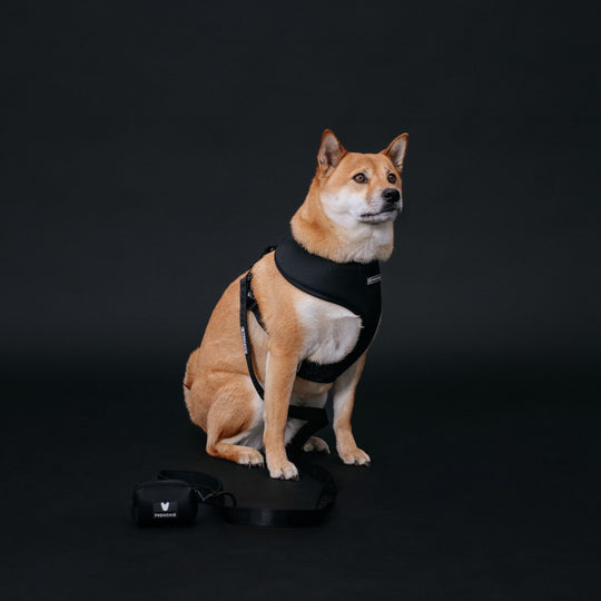 Frenchie Poo Bag Holder - Solid Black