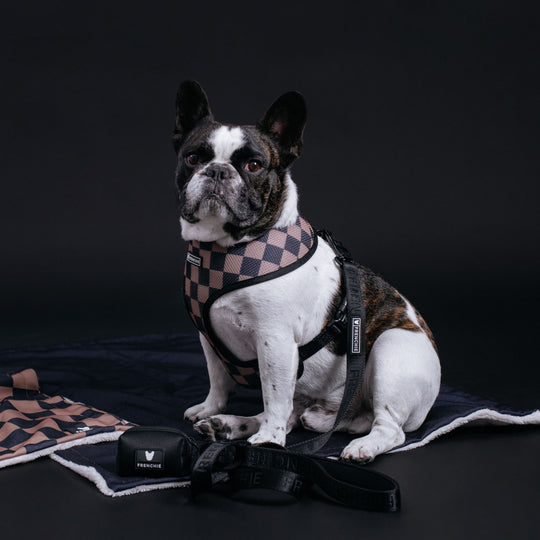 Frenchie Poo Bag Holder - Solid Black