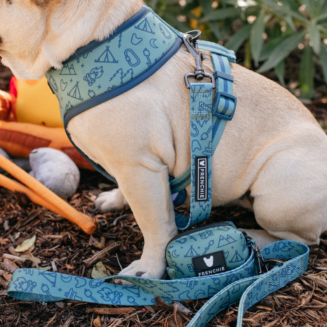 Frenchie Duo Reversible Harness - Camp Frenchie