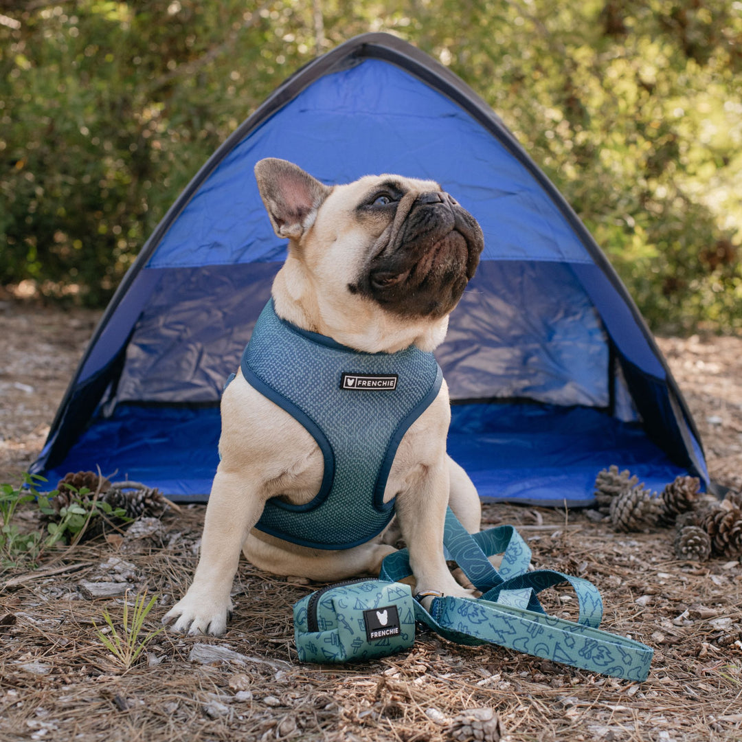 Frenchie Duo Reversible Harness - Camp Frenchie