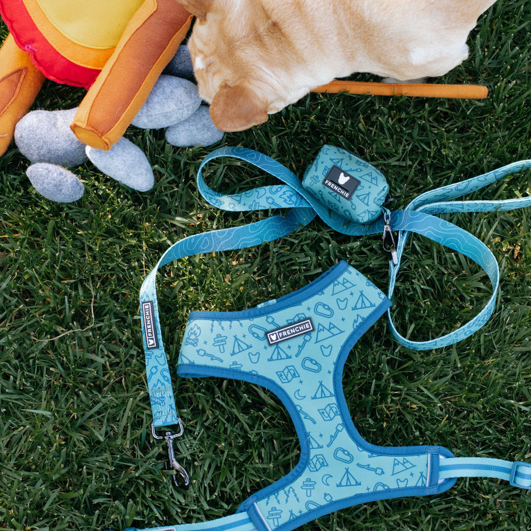 Frenchie Comfort Leash - Camp Frenchie