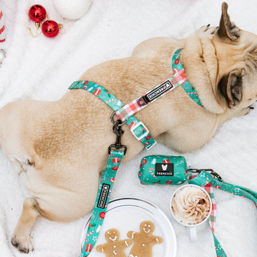 Frenchie Strap Harness - Classic Christmas