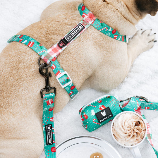 Frenchie Strap Harness - Classic Christmas