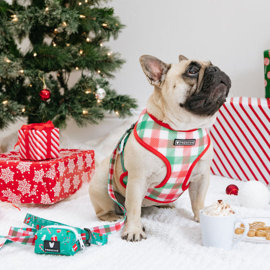 Frenchie Duo Reversible Harness - Classic Christmas