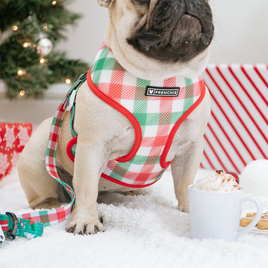 Frenchie Duo Reversible Harness - Classic Christmas