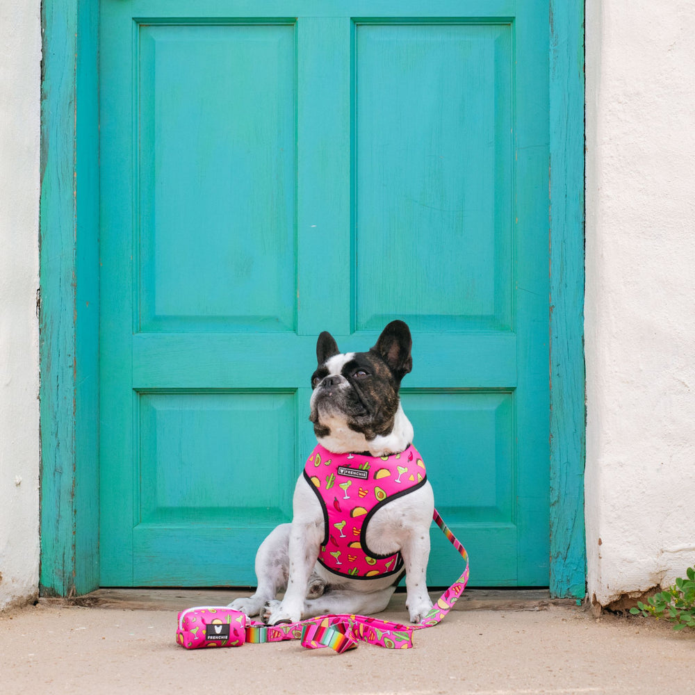 Frenchie Duo Reversible Harness - Taco Tuesday- Pink