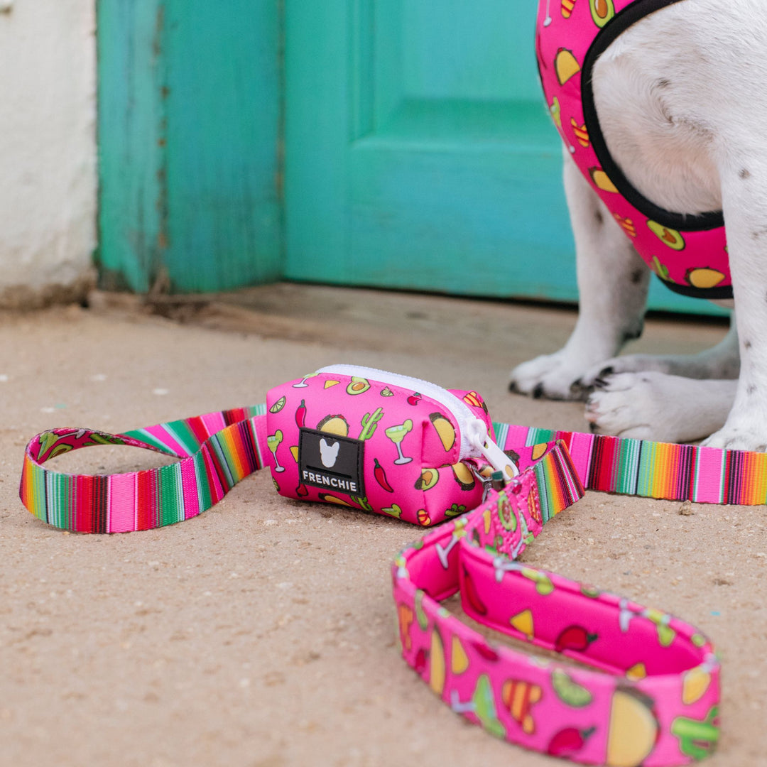 Frenchie Comfort Leash - Taco Tuesday- Pink