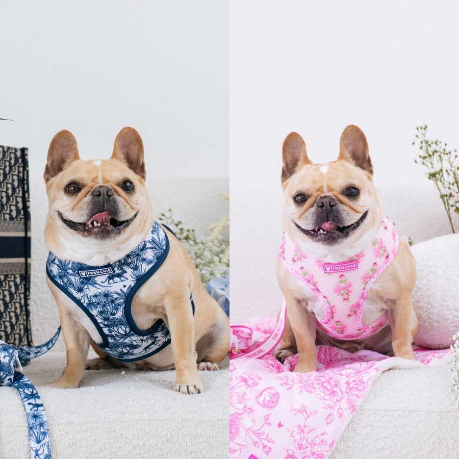 Printable Cheat Sheet What NOT to Feed your Dog Frenchie Bulldog