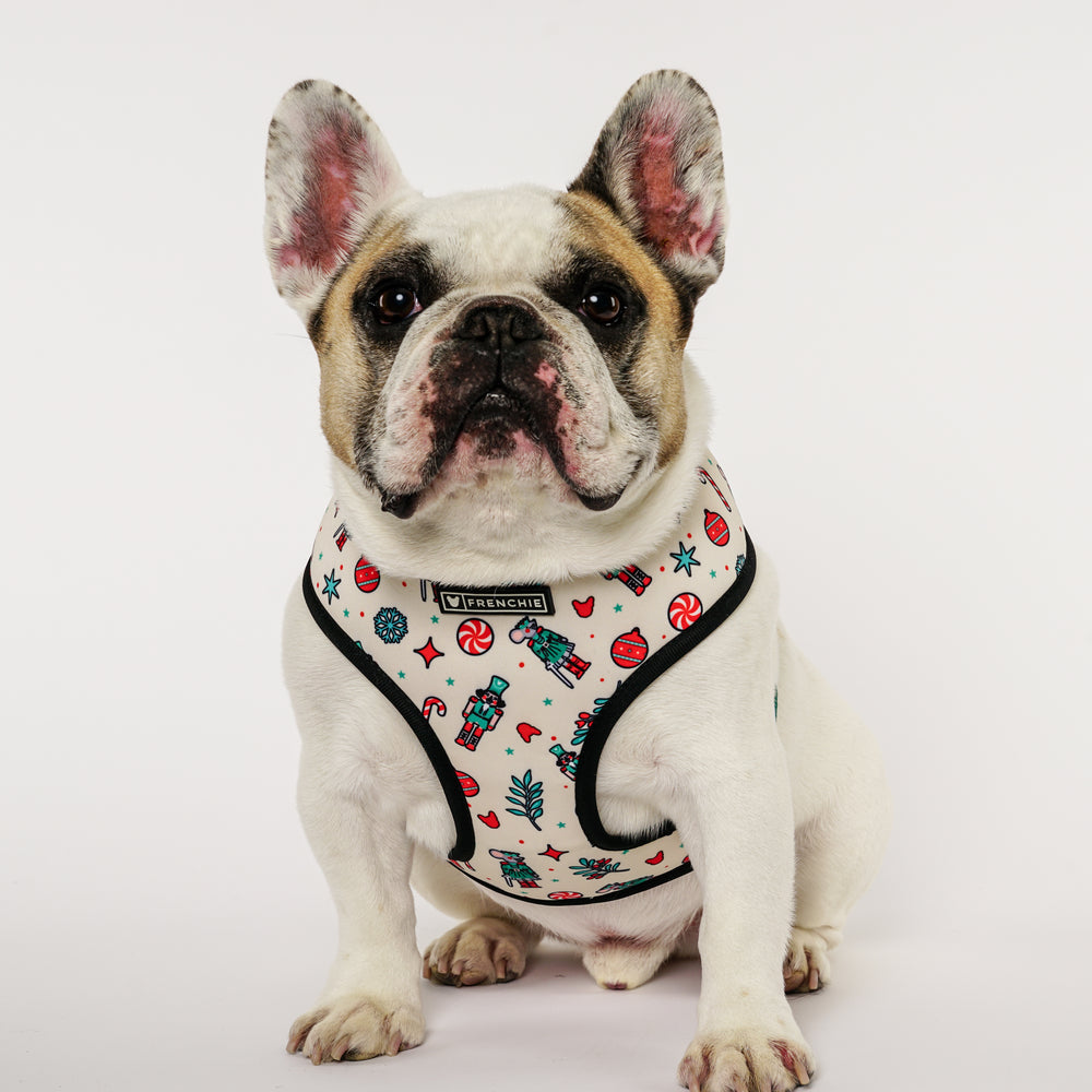 Frenchie Duo Reversible Harness - Nutcracker