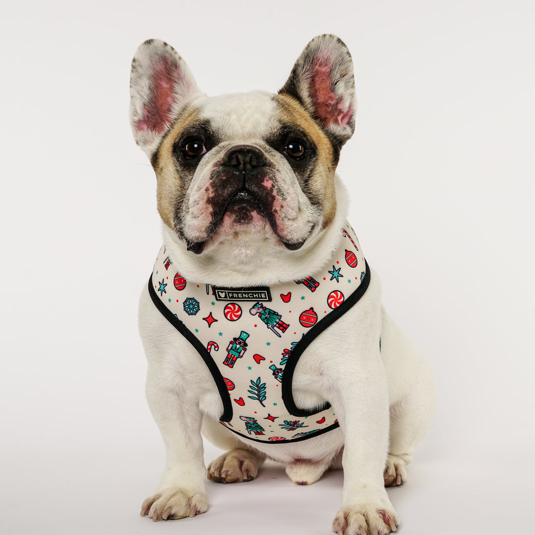 Frenchie Duo Reversible Harness - Nutcracker