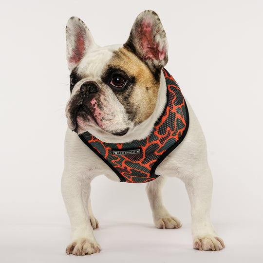 Frenchie Comfort Leash - Duck Hunter