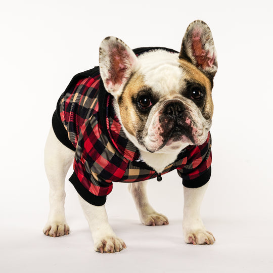 Frenchie Dog Hoodie - Cabin Plaid