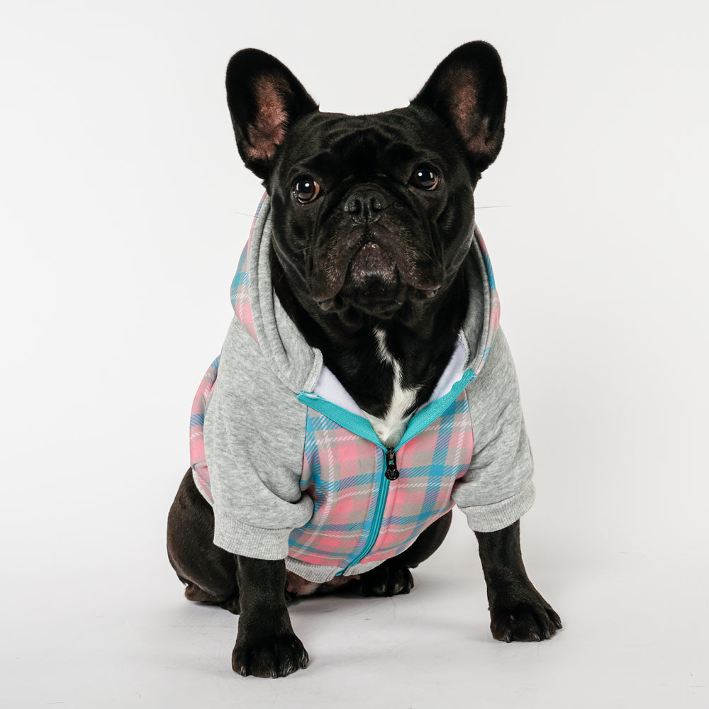 Frenchie Dog Hoodie - Highlander Plaid