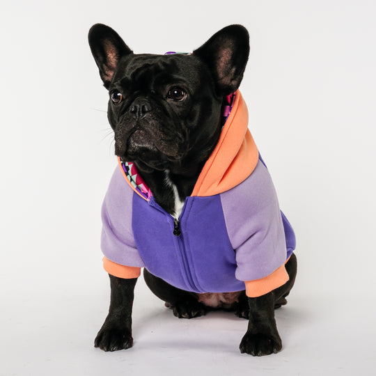 Frenchie Dog Hoodie - Twilight