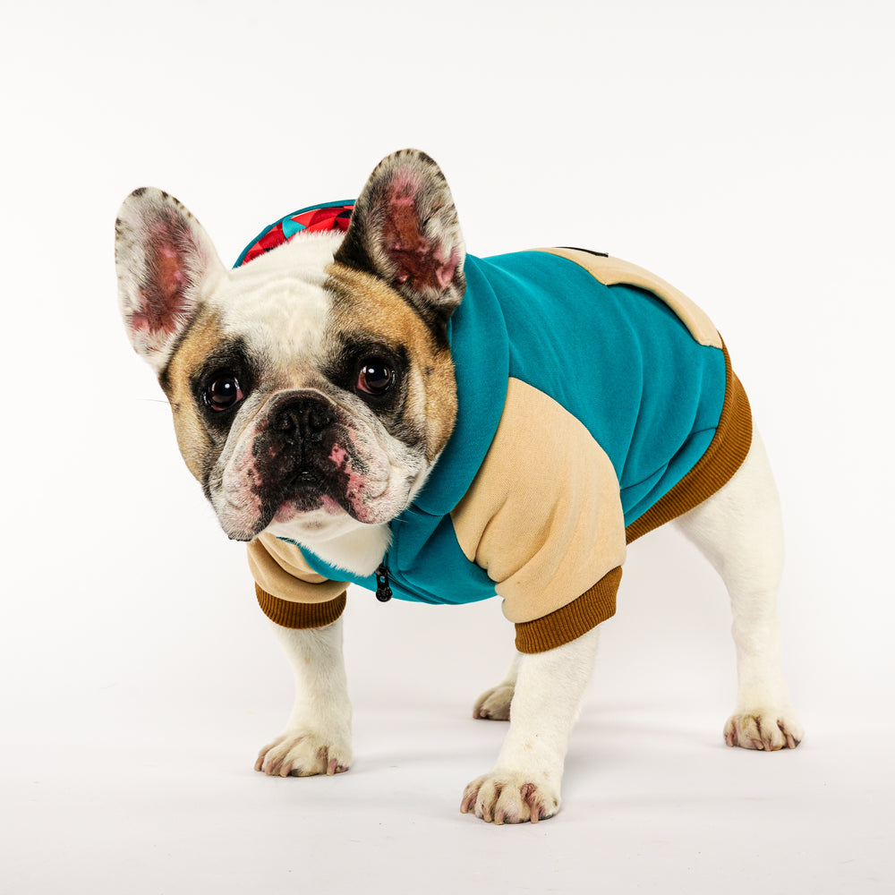 Frenchie Dog Hoodie - Oasis