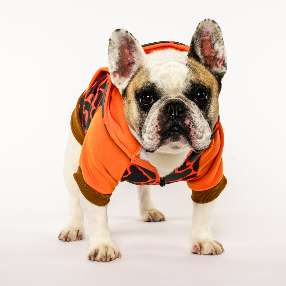 Frenchie Dog Hoodie - Duck Hunter