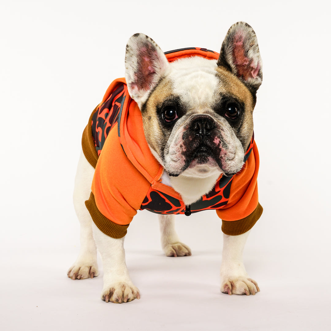 Frenchie Dog Hoodie - Duck Hunter