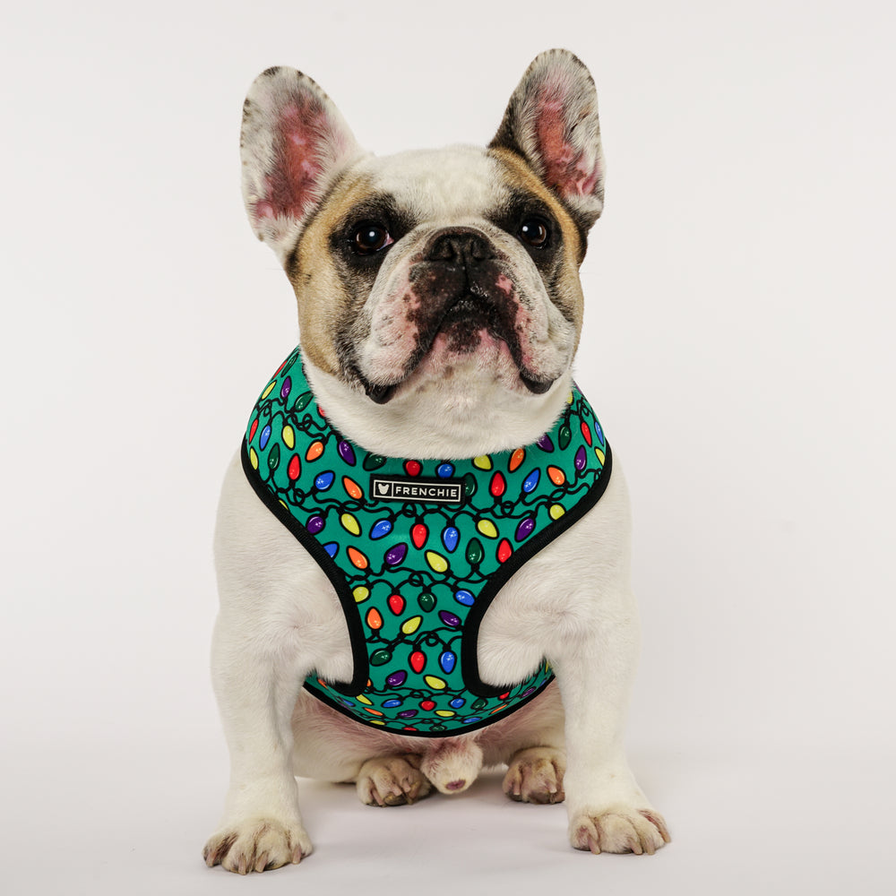 Frenchie Duo Reversible Harness - Holiday Lights