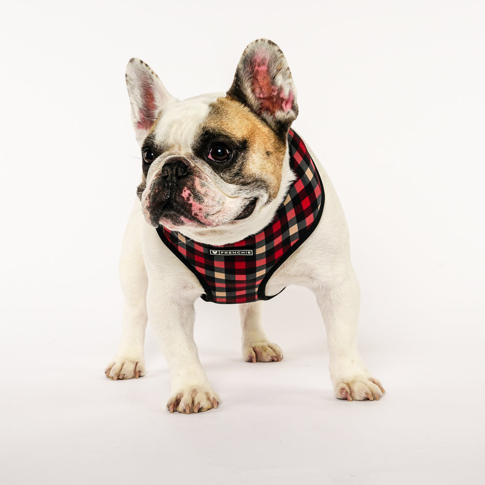 Frenchie Duo Reversible Harness - Cabin Plaid