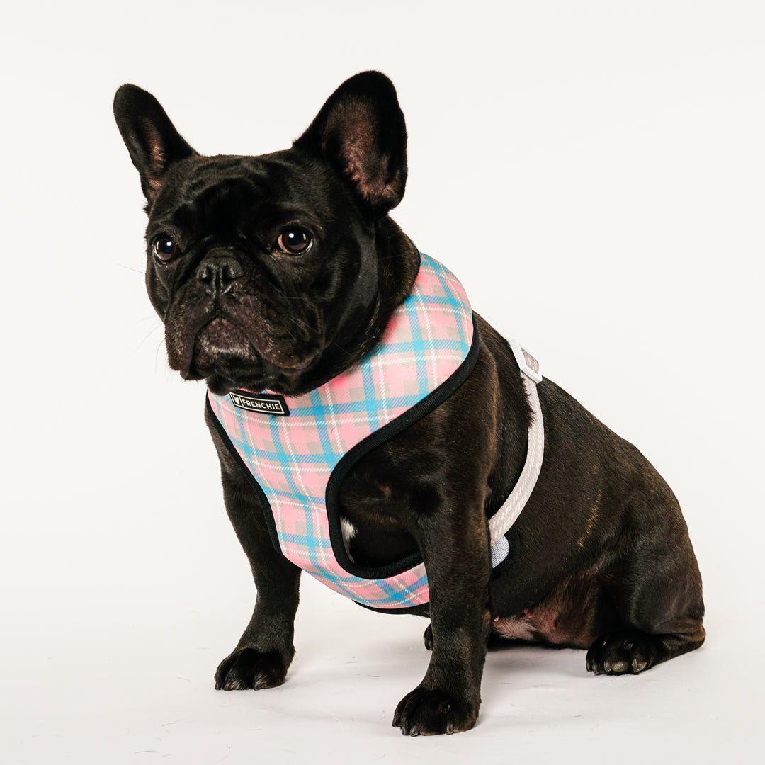 Frenchie Duo Reversible Harness - Highlander Plaid