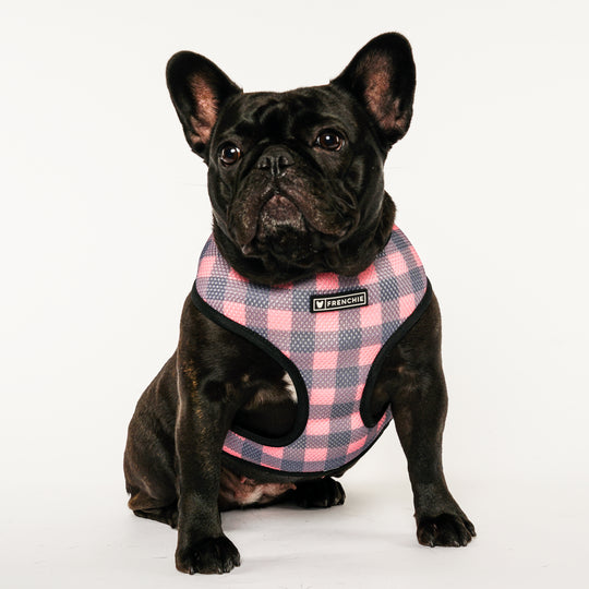 Frenchie Duo Reversible Harness - Highlander Plaid