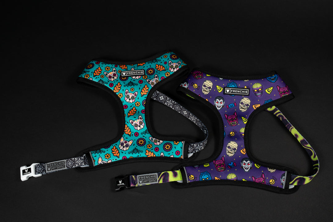 Frenchie Duo Reversible Harness - Halloween Masks
