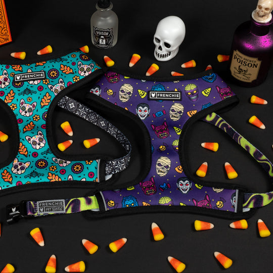Frenchie Duo Reversible Harness - Halloween Masks