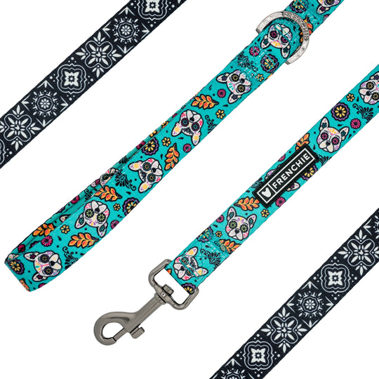 Frenchie Comfort Leash - Day of the Dog