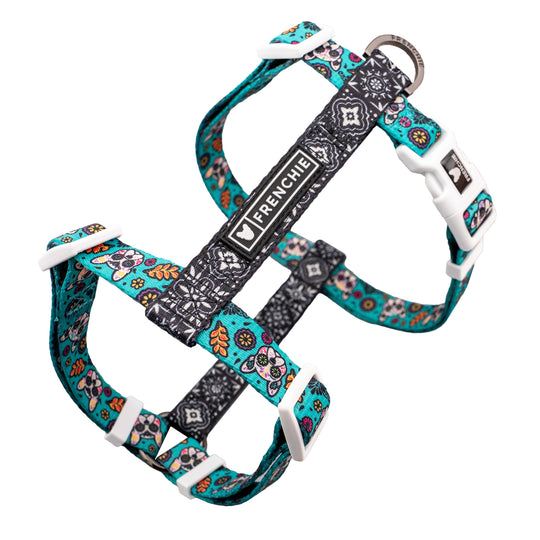 Frenchie Strap Harness - Day of the Dog