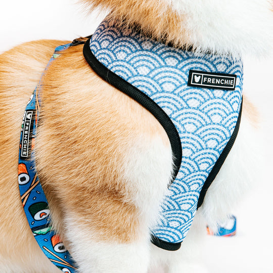 Frenchie Duo Reversible Harness - Sushi