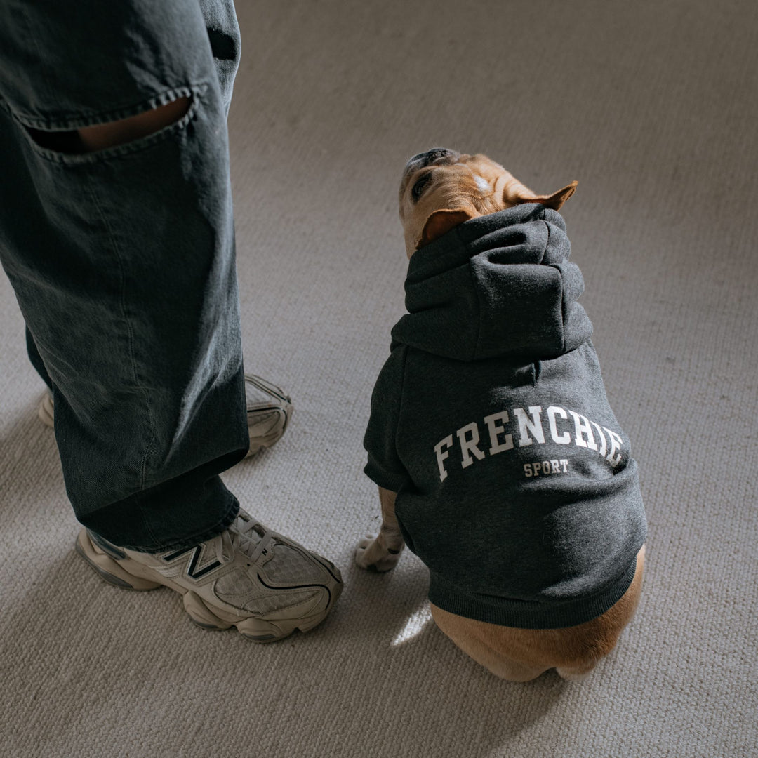 Frenchie Dog Hoodie - Frenchie Sport