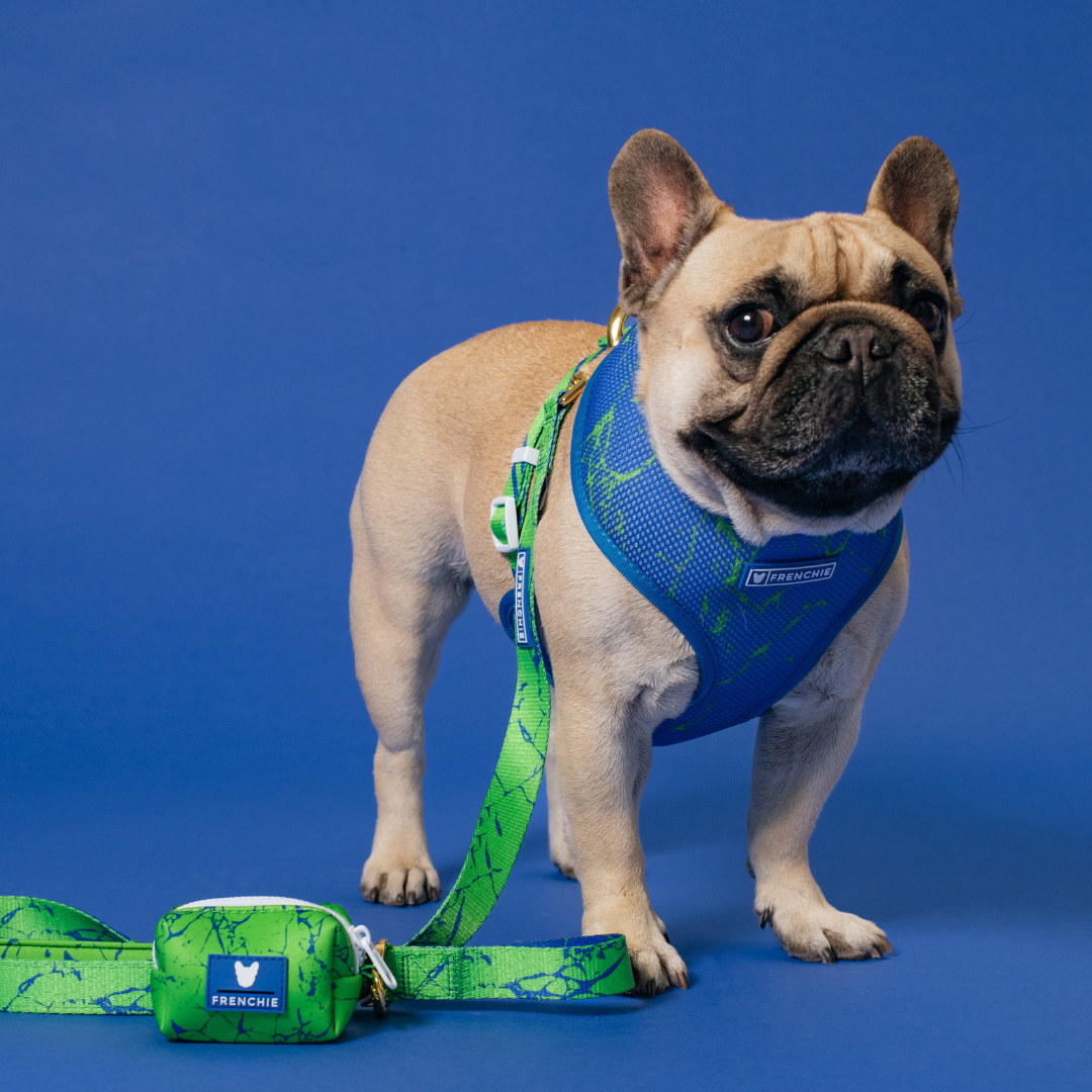 Frenchie Comfort Leash - Green Marble
