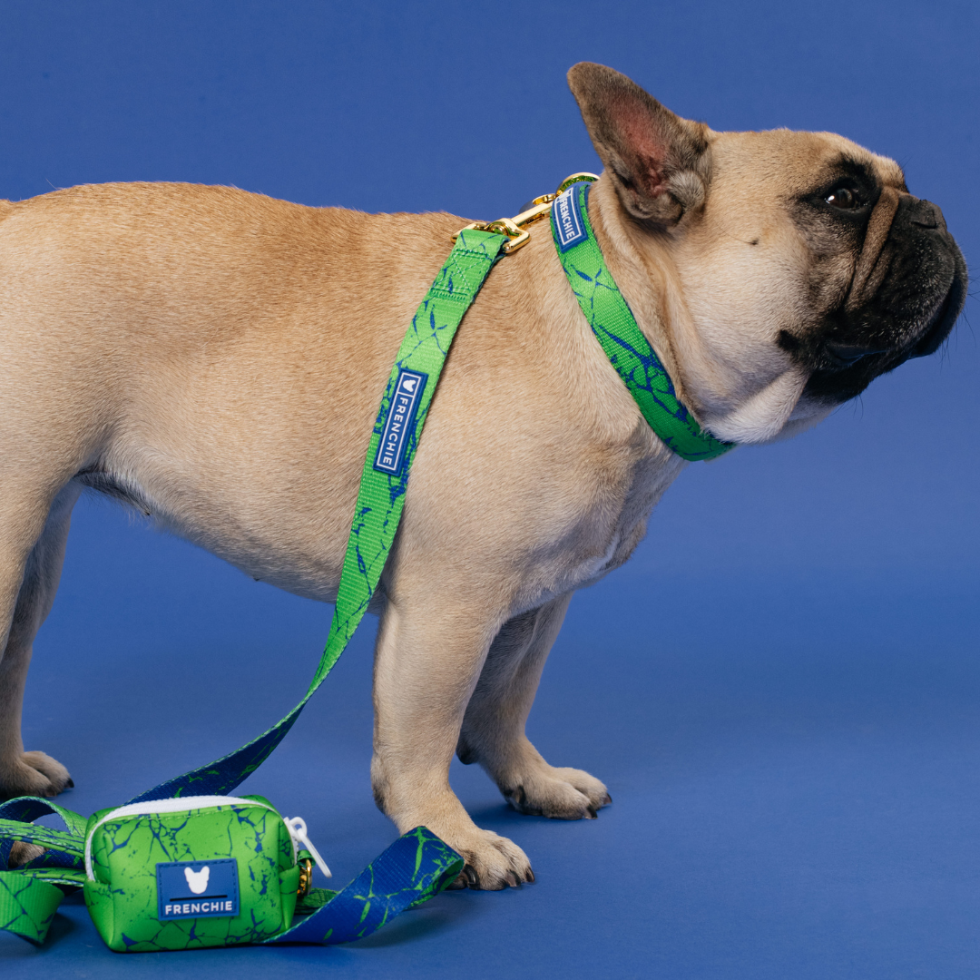 Frenchie Comfort Leash - Green Marble