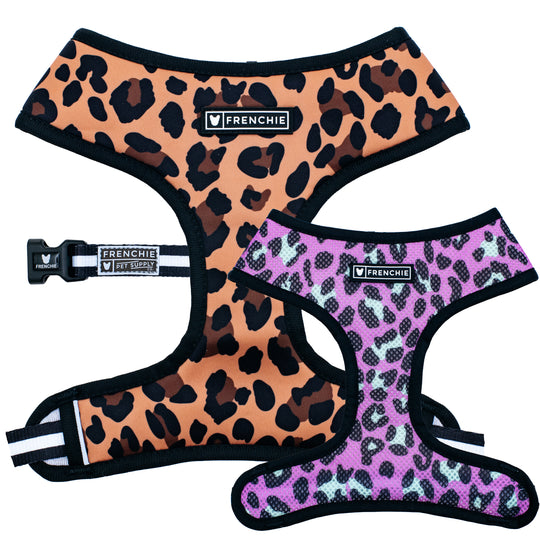 Frenchie Duo Reversible Harness - Leo