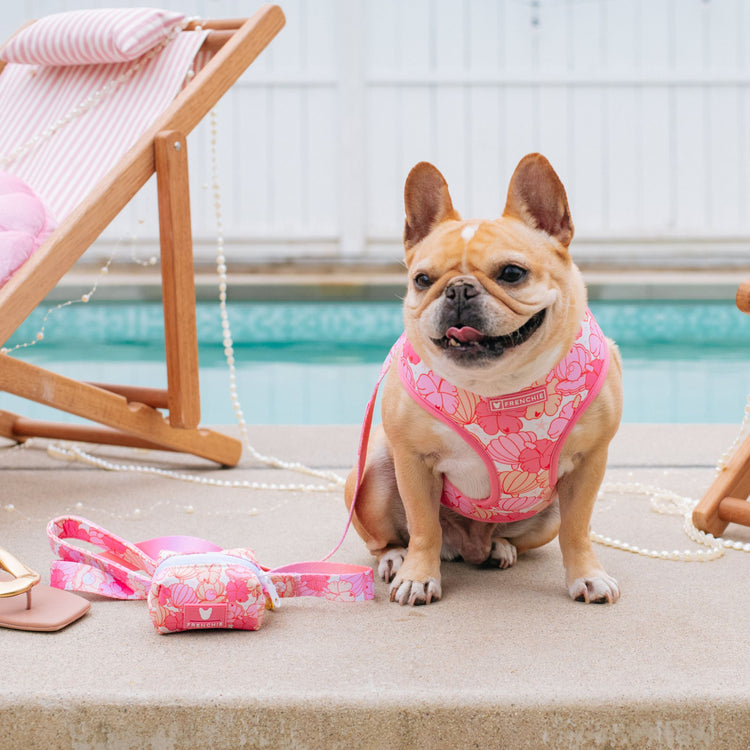 Printable Cheat Sheet What NOT to Feed your Dog Frenchie Bulldog