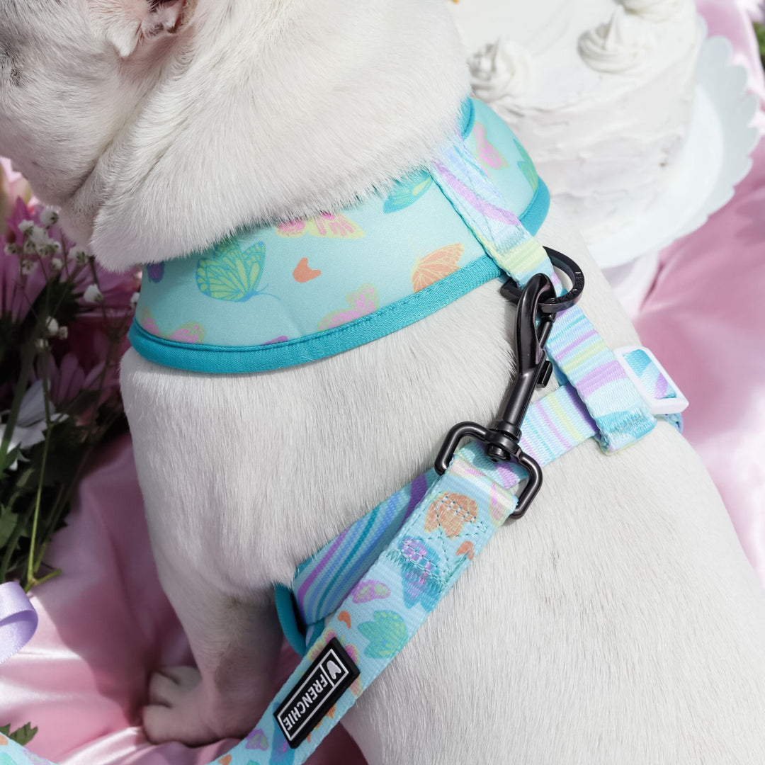 Frenchie Duo Reversible Harness - Pastel Butterfly