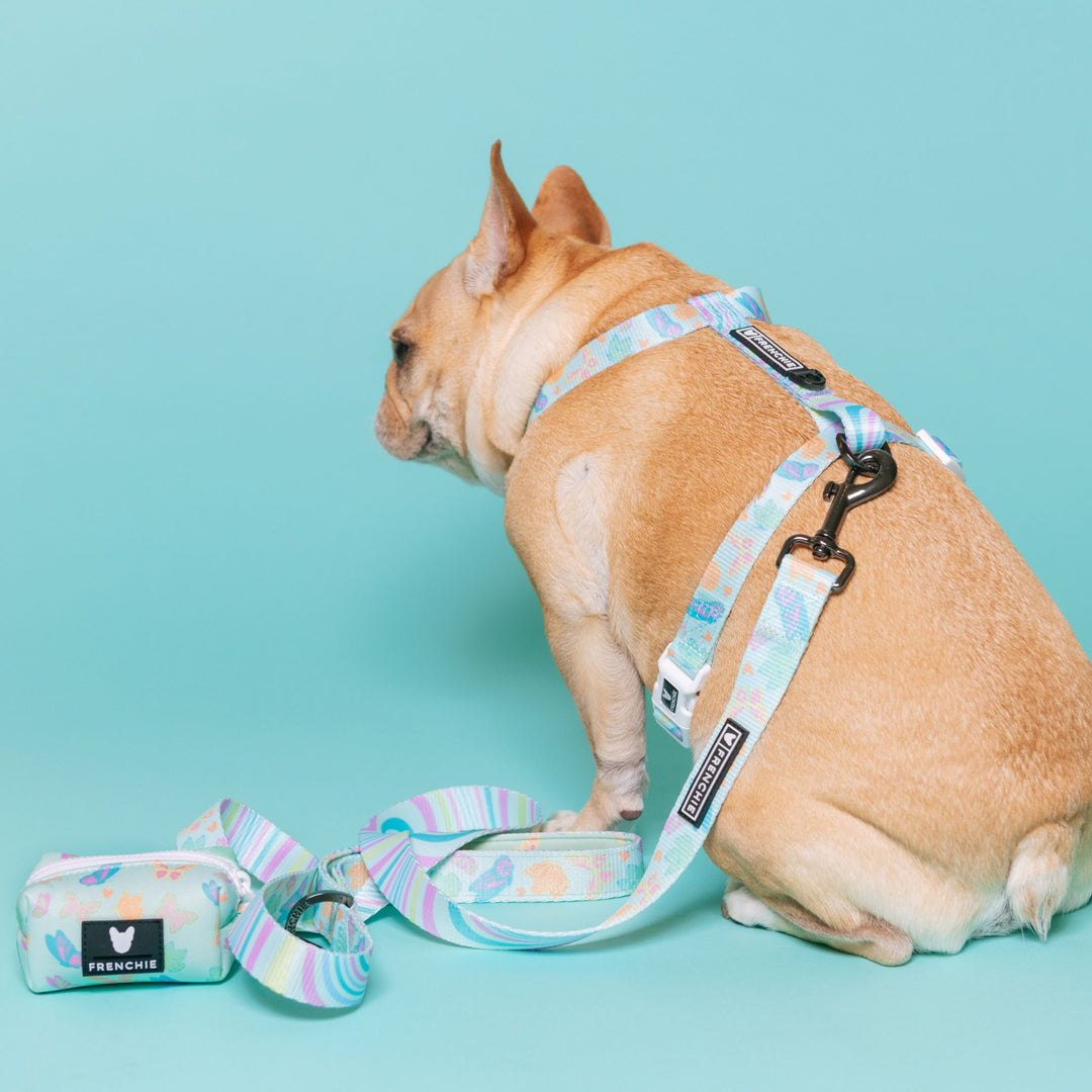 Frenchie Comfort Leash - Pastel Butterfly