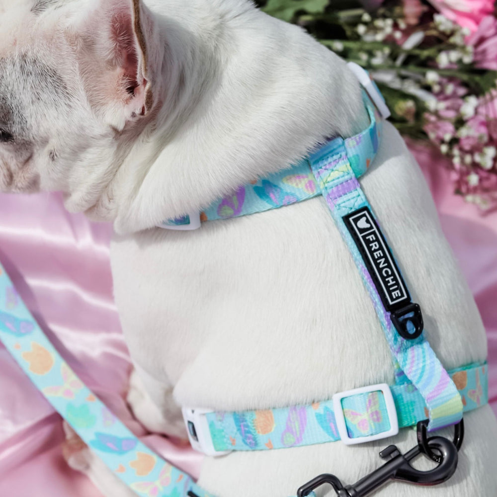 Frenchie Strap Harness - Pastel Butterfly