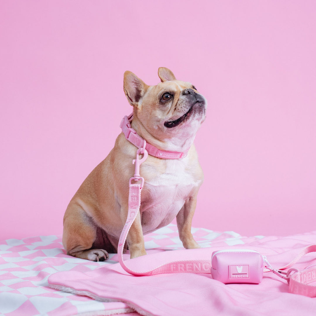 Frenchie Comfort Collar - Solid Pink Bubblegum