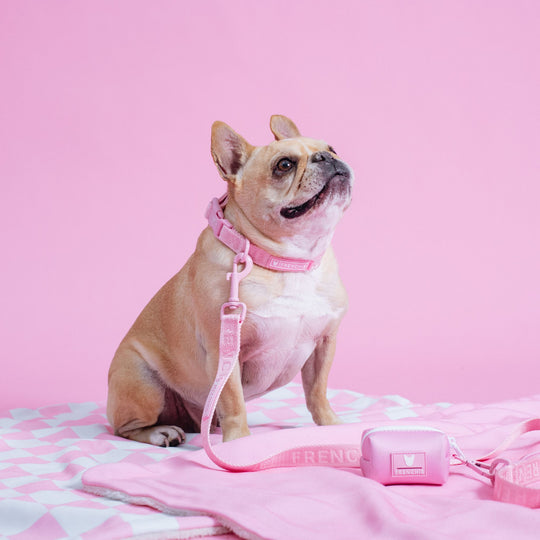 Frenchie Poo Bag Holder - Pink Bubblegum