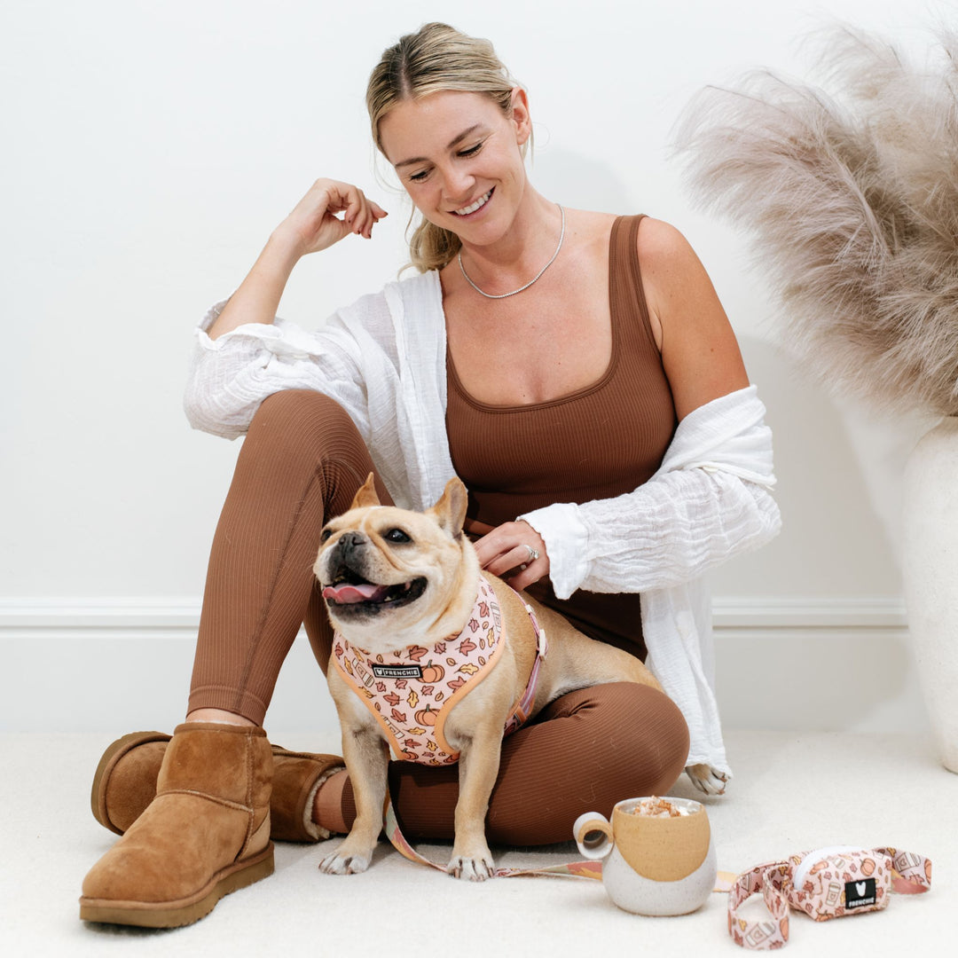 Frenchie Duo Reversible Harness - Pumpkin Spice