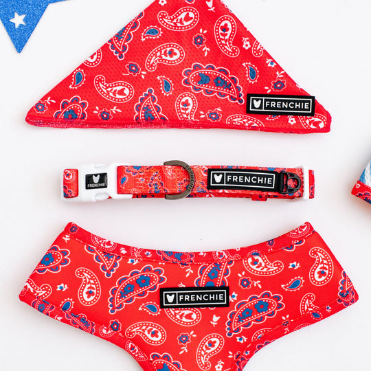 Frenchie Comfort Collar - Red, White, and Paisley
